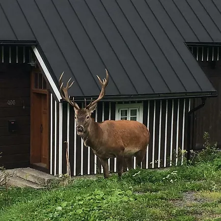 Gasthuis Kapitanka 3*